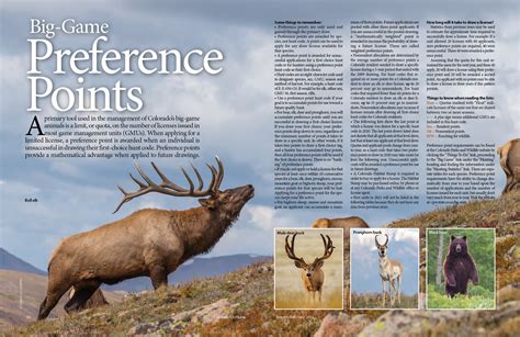 colorado pronghorn preference point code|colorado bighorn preference points.